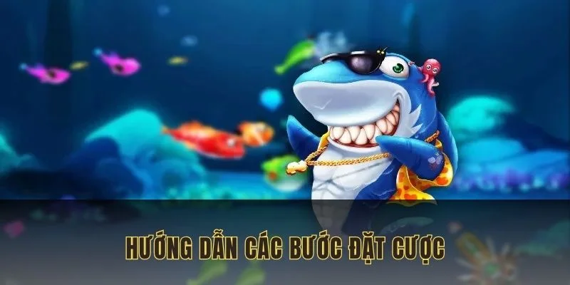 Hướng dẫn người chơi các bước đặt cược cơ bản